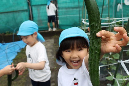 自然に親しみ、土に親しむ保育